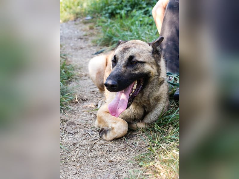 Tarik: sehnt sich nach Liebe