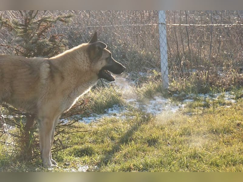 Tarik: sehnt sich nach Liebe