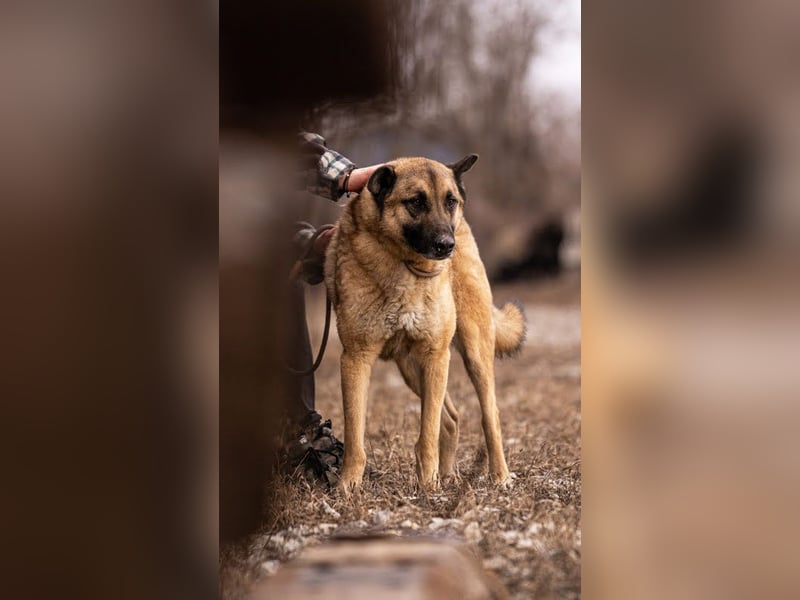 Tarik: sehnt sich nach Liebe