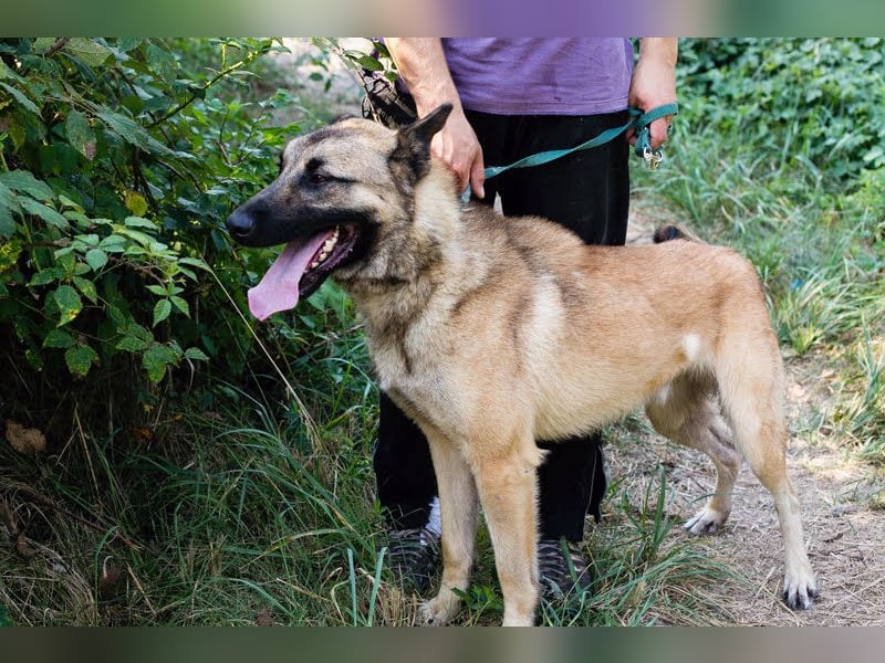 Tarik: sehnt sich nach Liebe