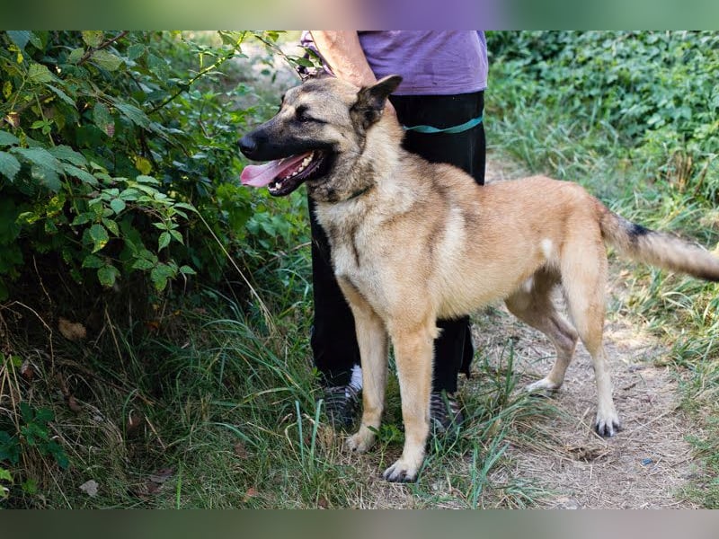 Tarik: sehnt sich nach Liebe