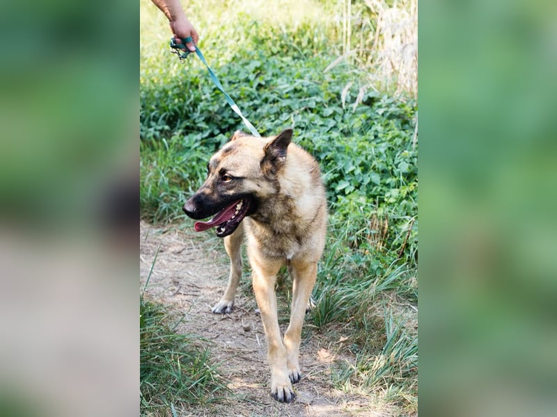 Tarik: sehnt sich nach Liebe