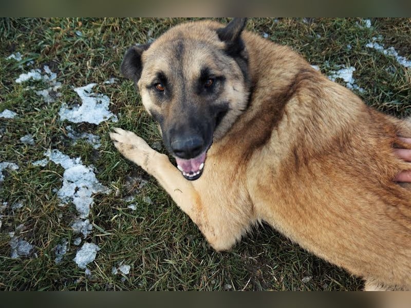 Tarik: sehnt sich nach Liebe