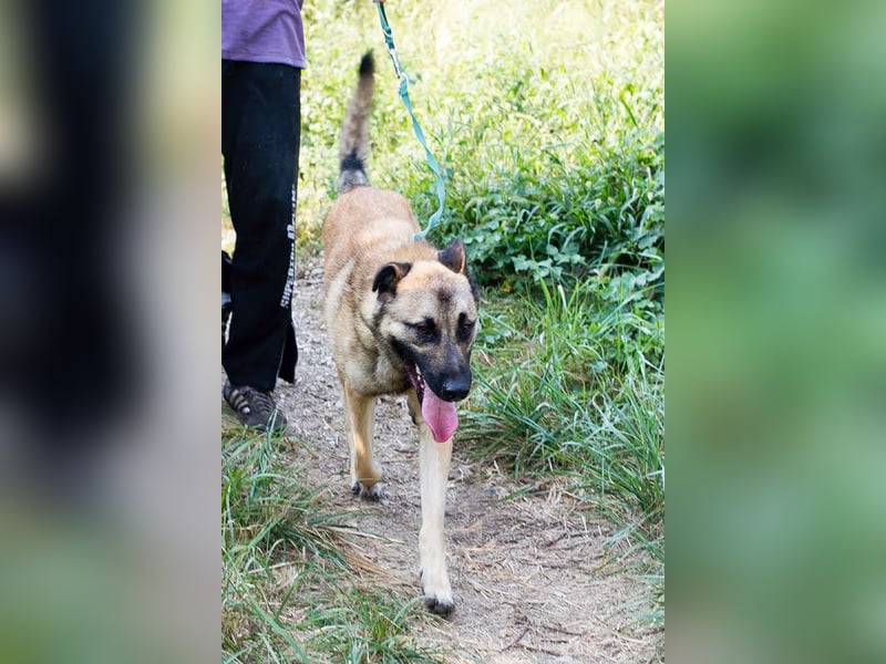 Tarik: sehnt sich nach Liebe