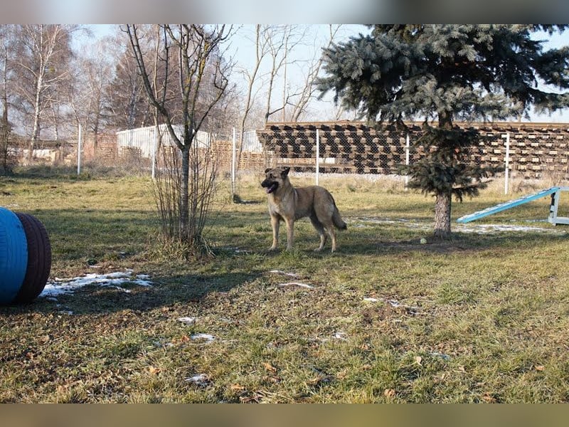 Tarik: sehnt sich nach Liebe