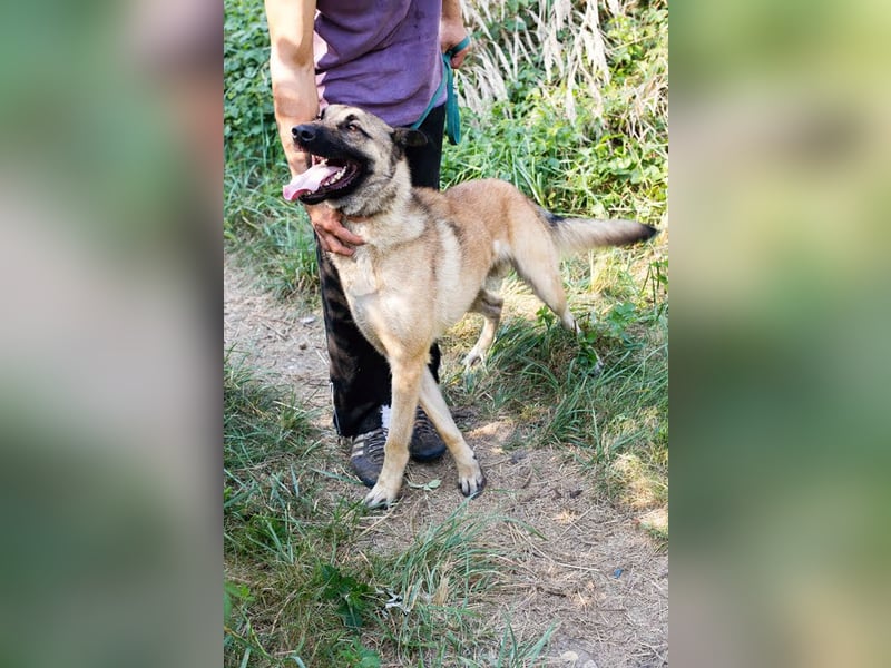 Tarik: sehnt sich nach Liebe