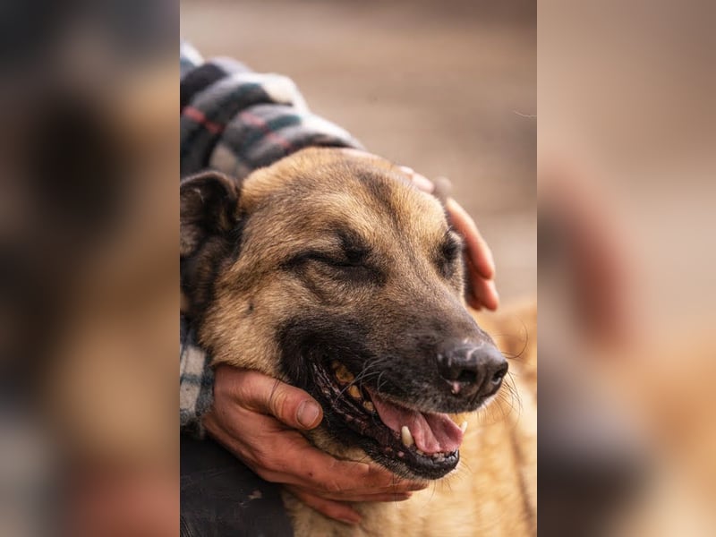 Tarik: sehnt sich nach Liebe
