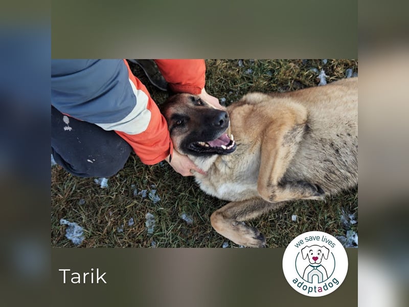 Tarik: sehnt sich nach Liebe