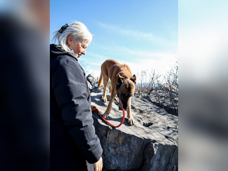 Jerry möchte seinen Ruhestand genießen
