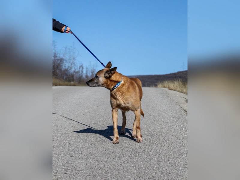 Senior Baks möchte endlich Ankommen