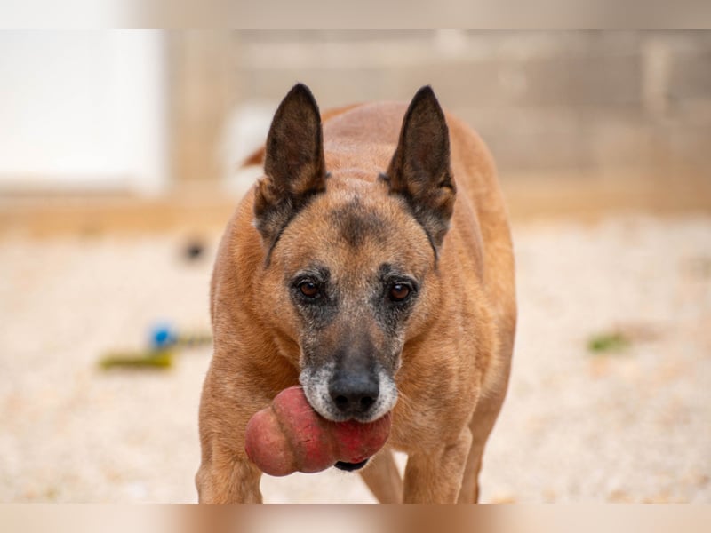 Senior Baks möchte endlich Ankommen