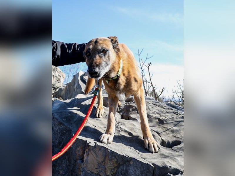 Jerry möchte seinen Ruhestand genießen