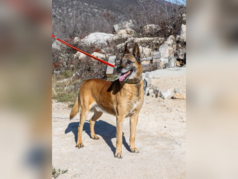 Jerry möchte seinen Ruhestand genießen