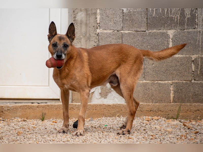 Senior Baks möchte endlich Ankommen