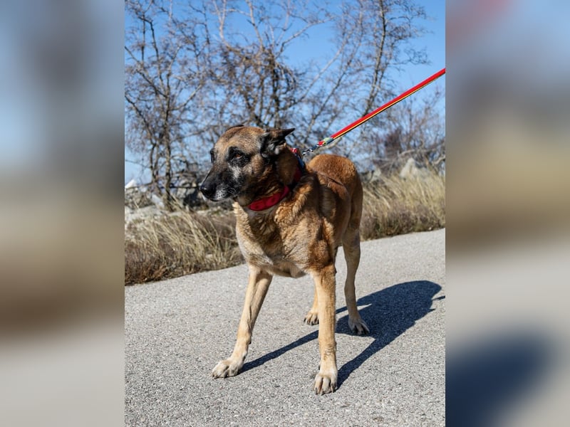 Senior Ben möchte endlich Ankommen