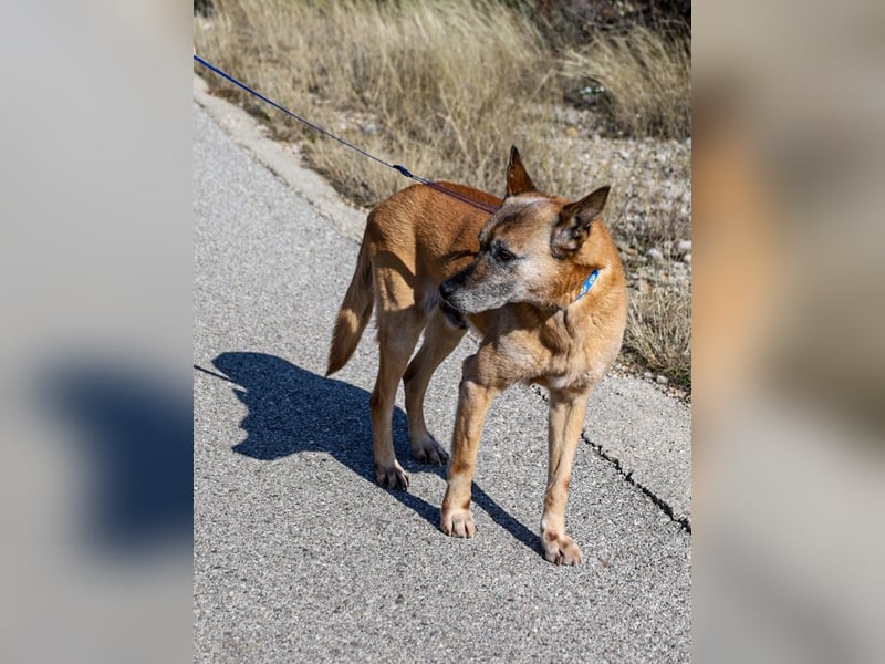 Senior Baks möchte endlich Ankommen