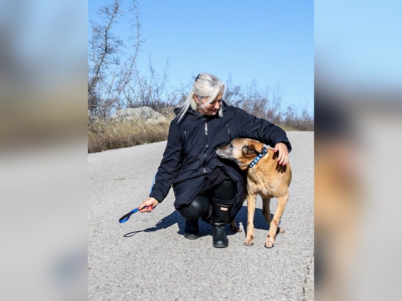 Senior Baks möchte endlich Ankommen