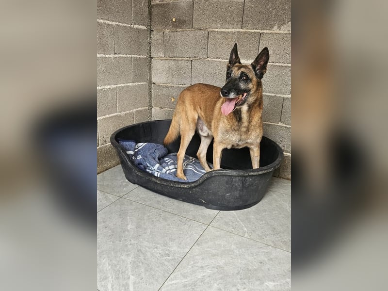 Senior Ben möchte endlich Ankommen