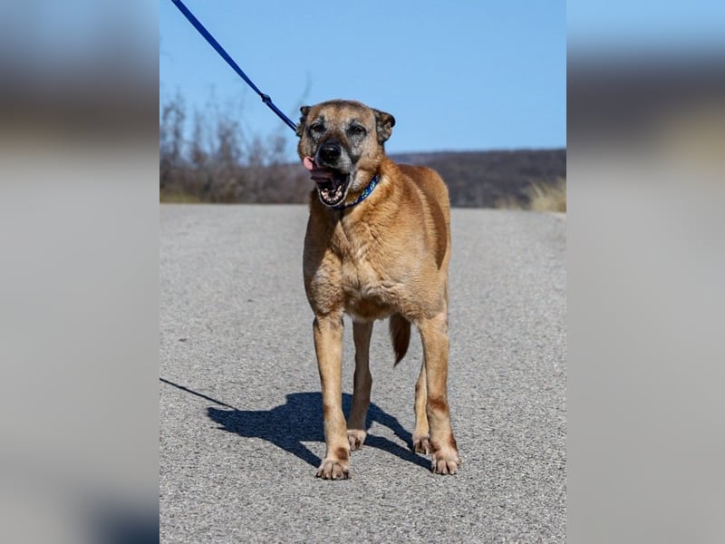 Senior Baks möchte endlich Ankommen