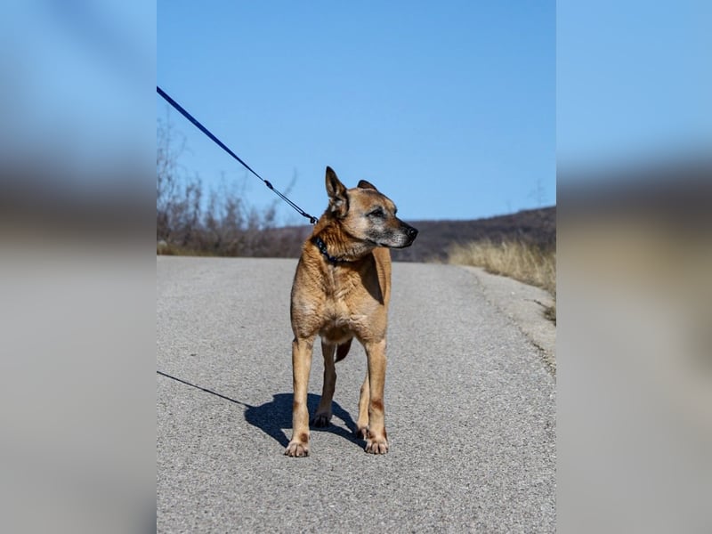Senior Baks möchte endlich Ankommen