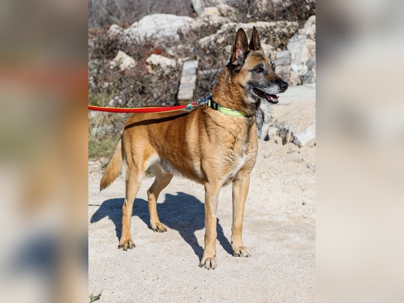 Jerry möchte seinen Ruhestand genießen