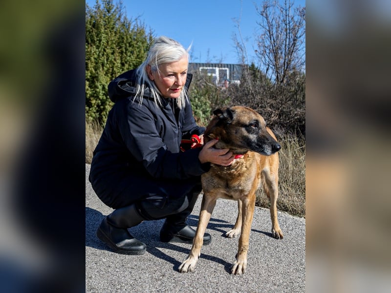 Senior Ben möchte endlich Ankommen