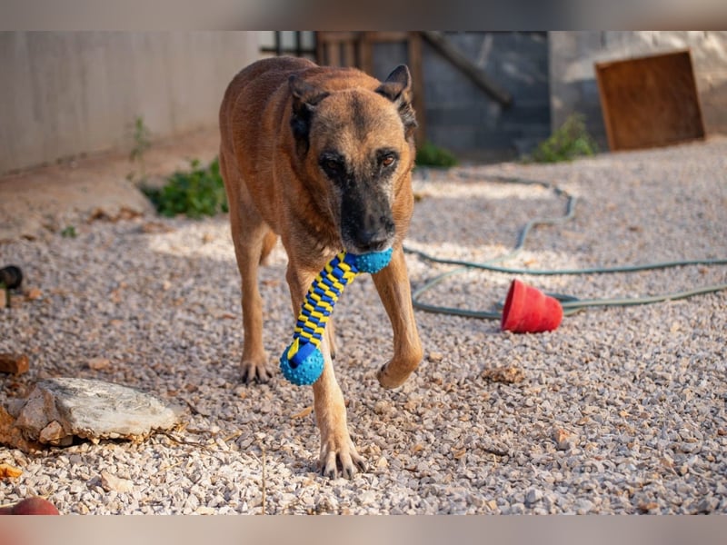 Senior Ben möchte endlich Ankommen