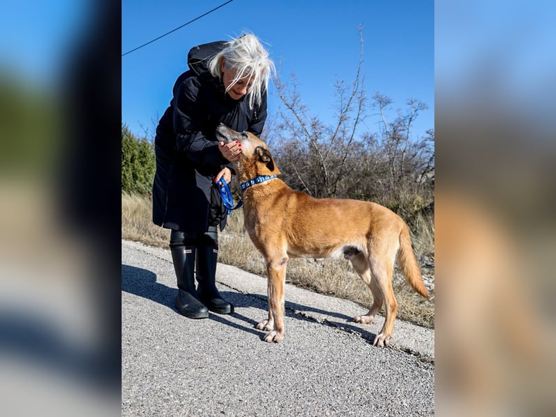 Senior Baks möchte endlich Ankommen