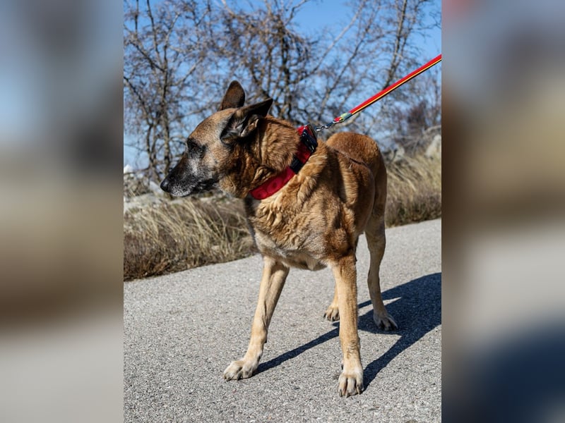 Senior Ben möchte endlich Ankommen