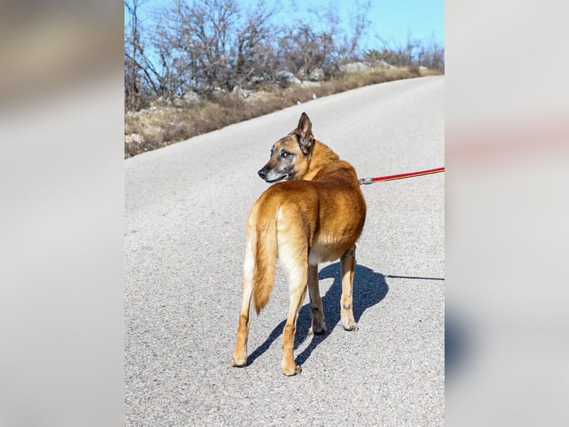 Jerry möchte seinen Ruhestand genießen