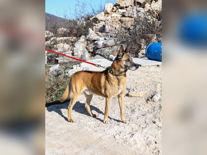 Jerry möchte seinen Ruhestand genießen
