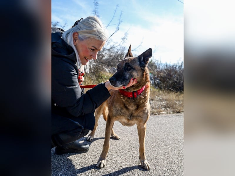 Senior Ben möchte endlich Ankommen