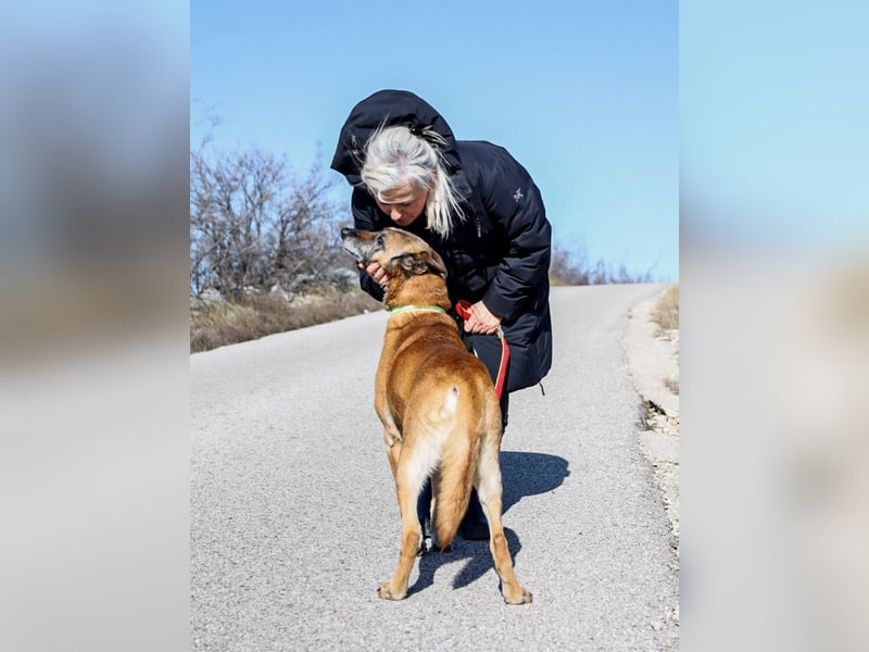 Jerry möchte seinen Ruhestand genießen