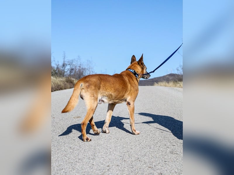 Senior Baks möchte endlich Ankommen