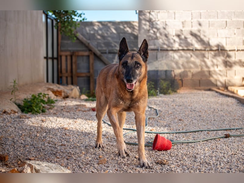Senior Ben möchte endlich Ankommen