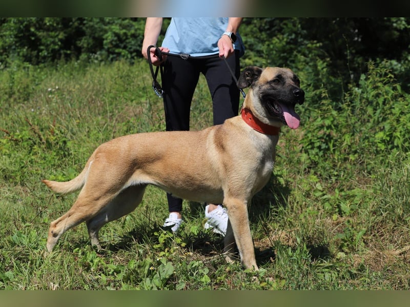 LUNA hat bereits Familienerfahrung