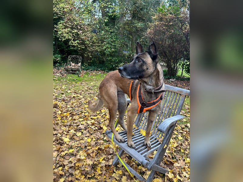 Zora ist bereit für den Umzug