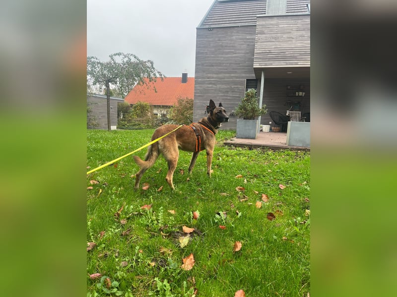 Zora ist bereit für den Umzug