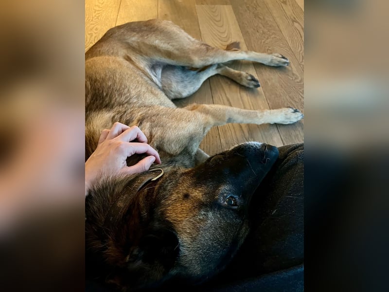Zora ist bereit für den Umzug
