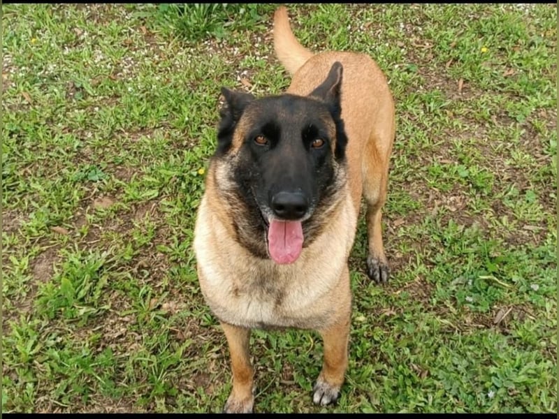 Gina