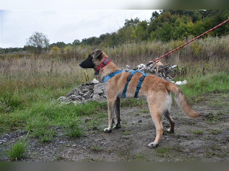 Hailey sucht Ihre Aufgabe