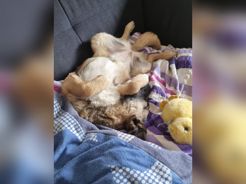 Ivy freut sich auf Deinen Besuch