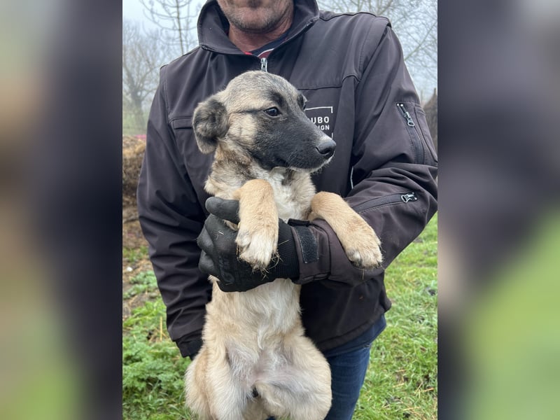 Ivy freut sich auf Deinen Besuch