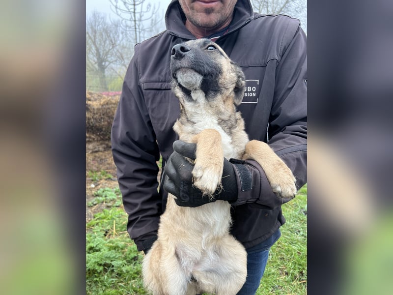 Ivy freut sich auf Deinen Besuch