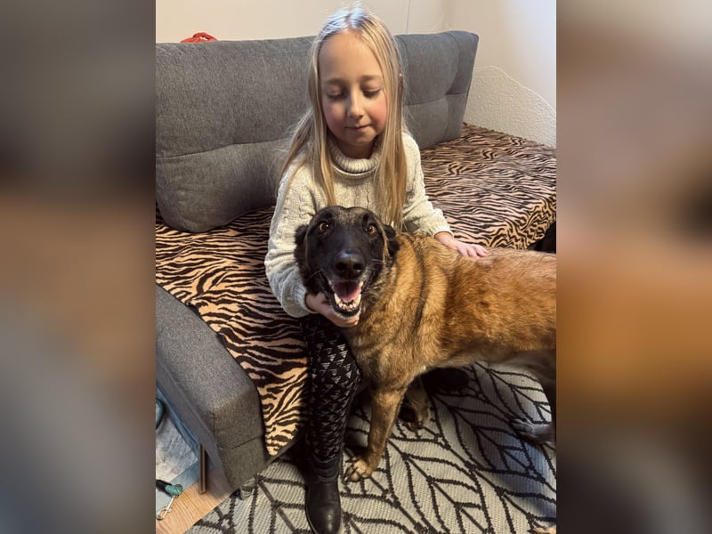 Lilli sucht ein liebevolles Zuhause
