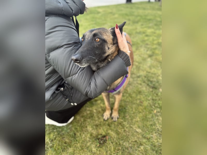Lilli sucht ein liebevolles Zuhause