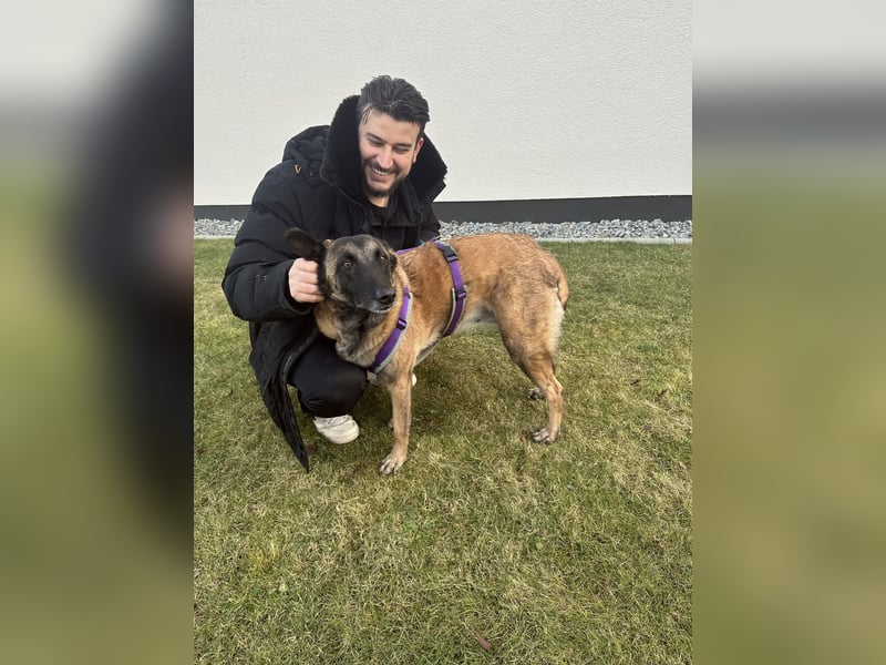 Lilli sucht ein liebevolles Zuhause