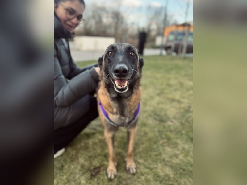 Lilli sucht ein liebevolles Zuhause