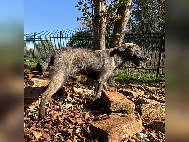 Stella, ein winziges zartes sanftes Wesen