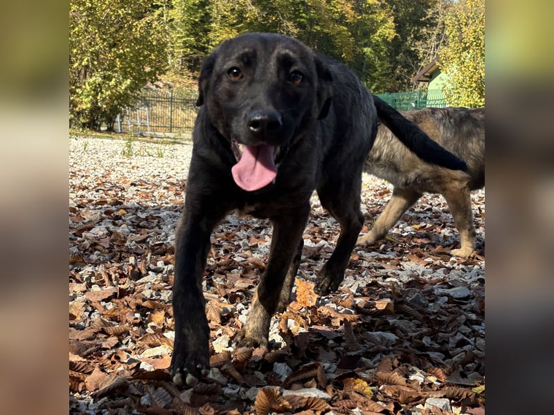 Stella, ein winziges zartes sanftes Wesen